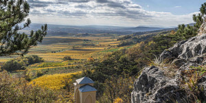 Beitragsbild des Blogbeitrags Gumpoldskirchen im goldenen Herbstlicht 