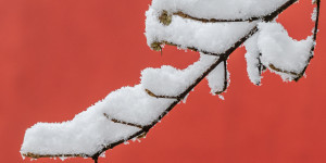 Beitragsbild des Blogbeitrags Wintermärchen!