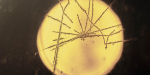 Beitragsbild des Blogbeitrags Klirrender Frost