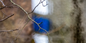 Beitragsbild des Blogbeitrags Abstrakt und konkret
