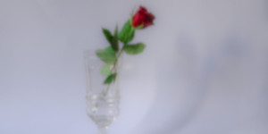 Beitragsbild des Blogbeitrags Schönen Valentinstag euch Allen!