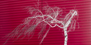 Beitragsbild des Blogbeitrags Höllenstein im Winter