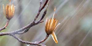 Beitragsbild des Blogbeitrags Wintereinbruch 