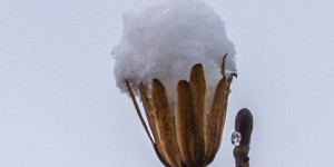 Beitragsbild des Blogbeitrags Wintereinbruch am 20.03.21