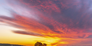 Beitragsbild des Blogbeitrags Sonnenaufgang über Wien