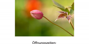 Beitragsbild des Blogbeitrags Endlich wieder eine Ausstellung!