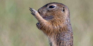 Beitragsbild des Blogbeitrags Bin wieder da!