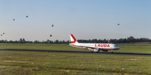 Beitragsbild des Blogbeitrags Flug nach Vilnius