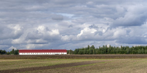 Beitragsbild des Blogbeitrags Kleipeda