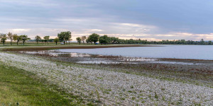 Beitragsbild des Blogbeitrags Zicksee Ende September