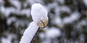 Beitragsbild des Blogbeitrags Wintereinbruch am Heuberg 