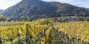 Beitragsbild des Blogbeitrags Dürnstein am 25.10.21