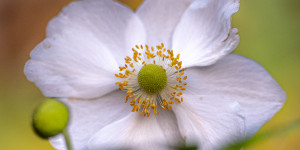 Beitragsbild des Blogbeitrags Auch der schönste Herbst geht mal zu Ende.