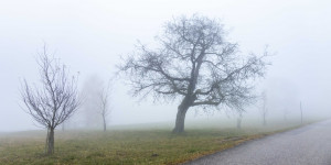 Beitragsbild des Blogbeitrags Mit dem Klimaticket ins Mühlviertel