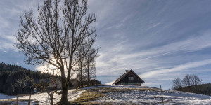 Beitragsbild des Blogbeitrags Wanderung auf der Mooshuben