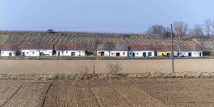 Beitragsbild des Blogbeitrags Krems an der Donau