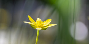 Beitragsbild des Blogbeitrags Heuberg-Macros Teil 2