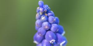 Beitragsbild des Blogbeitrags Endlich wieder am Heuberg!