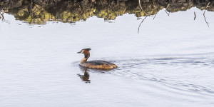 Beitragsbild des Blogbeitrags Äußere Alster 