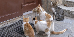 Beitragsbild des Blogbeitrags Nachmittag im Hinterland