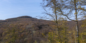 Beitragsbild des Blogbeitrags Wanderung zur Burg Greifenstein 