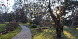 Beitragsbild des Blogbeitrags Belvedere – endlich wieder im Sonnenschein!