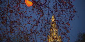 Beitragsbild des Blogbeitrags Wiener Christkindlmarkt