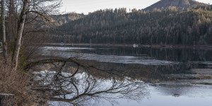 Beitragsbild des Blogbeitrags Neujahrs-Spaziergang am Erlaufsee 