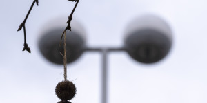 Beitragsbild des Blogbeitrags Donauinsel im Februar