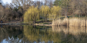 Beitragsbild des Blogbeitrags Frühling im Kurpark Oberlaa 