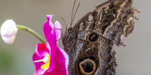 Beitragsbild des Blogbeitrags Zum Muttertag: ich-eine fehlerquelle? von Elfriede Gerstl
