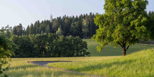 Beitragsbild des Blogbeitrags Kur in Bad Zell