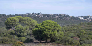 Beitragsbild des Blogbeitrags Mit dem Bus nach Faro