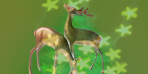 Beitragsbild des Blogbeitrags FROHE WEIHNACHT