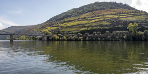 Beitragsbild des Blogbeitrags Flussfahrt auf dem Douro 