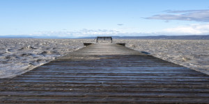 Beitragsbild des Blogbeitrags Weiden am Neusiedlersee