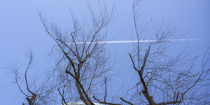 Beitragsbild des Blogbeitrags Viertel 2