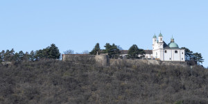 Beitragsbild des Blogbeitrags Über den Nussberg ins Kahlenbergerdorf