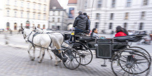 Beitragsbild des Blogbeitrags Mitzieher