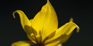 Beitragsbild des Blogbeitrags Eine kleine Pause hier …