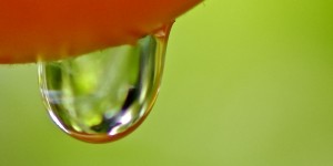 Beitragsbild des Blogbeitrags Regentropfen 