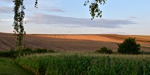 Beitragsbild des Blogbeitrags Pöttschinger See im Burgenland