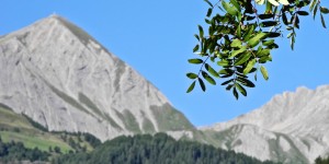 Beitragsbild des Blogbeitrags Kals-Matrei-Törl auf 2.207 m