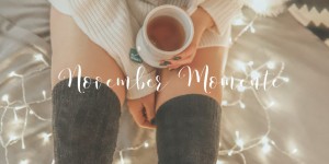 Beitragsbild des Blogbeitrags November Momente