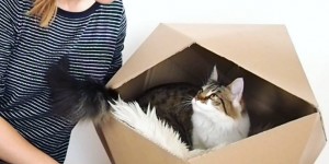 Beitragsbild des Blogbeitrags Geometric Cat House: DIY