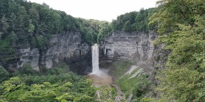 Beitragsbild des Blogbeitrags Ithaca – New York’s gorges college town