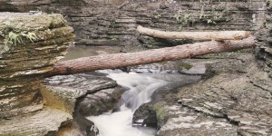 Beitragsbild des Blogbeitrags Through fairy tale lands in Watkins Glen, NY