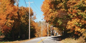 Beitragsbild des Blogbeitrags Falling for fall in the Connecticut countryside 