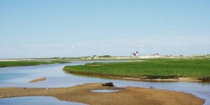 Beitragsbild des Blogbeitrags Greetings from the Cape