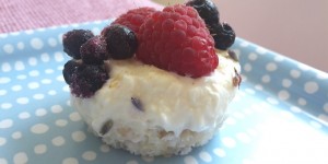 Beitragsbild des Blogbeitrags FroYo Bites – klein, fein, sommersüß